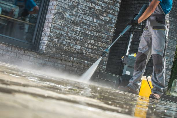 Reliable Park Ridge, IL Pressure Washing Services Solutions