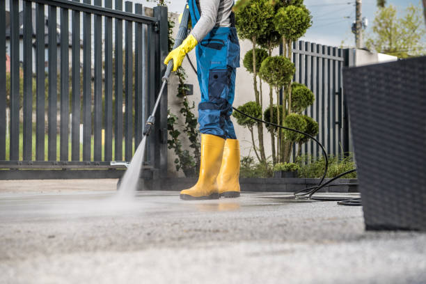 Best Patio and Deck Pressure Washing  in Park Ridge, IL
